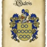 El fascinante origen del apellido Galvis: ¡Descubre su historia y significado!